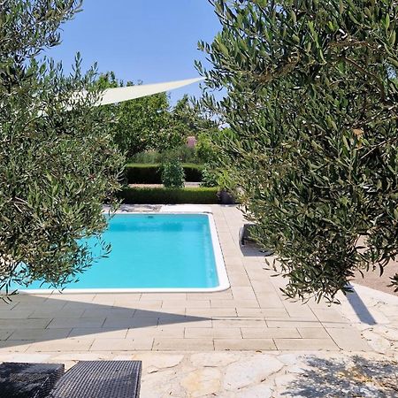 שיבניק Resort Apartment Petrovic מראה חיצוני תמונה