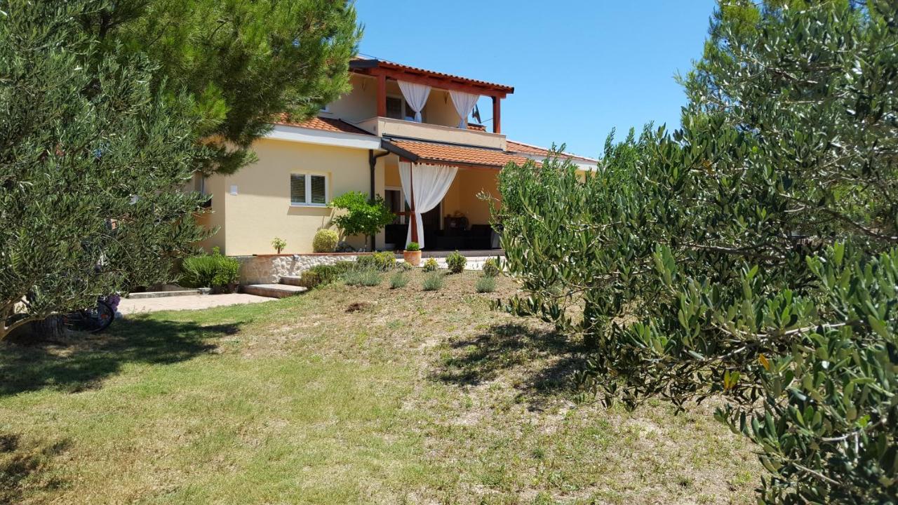 שיבניק Resort Apartment Petrovic מראה חיצוני תמונה
