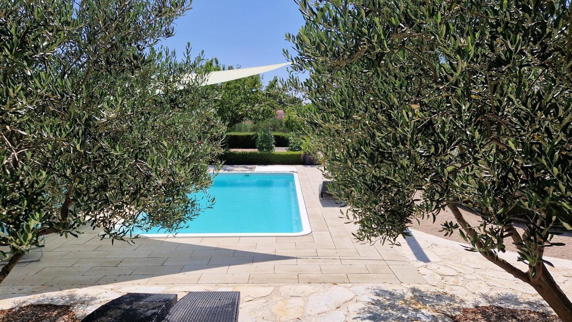 שיבניק Resort Apartment Petrovic מראה חיצוני תמונה