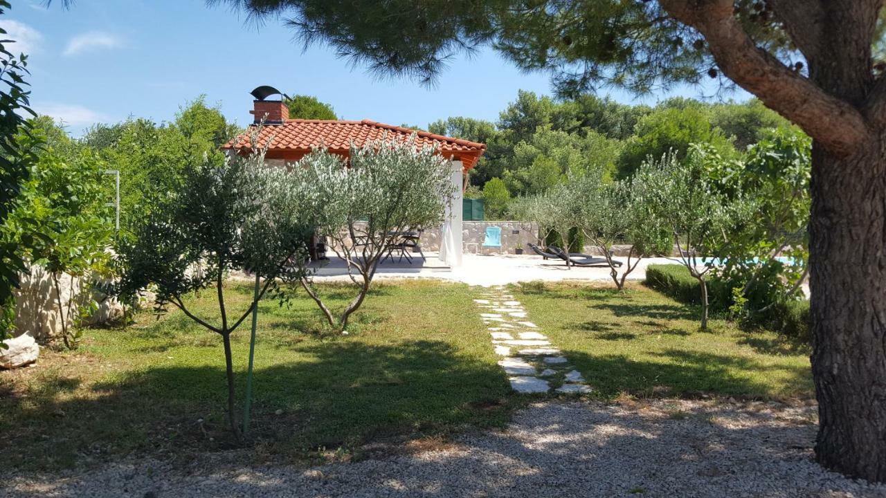 שיבניק Resort Apartment Petrovic מראה חיצוני תמונה