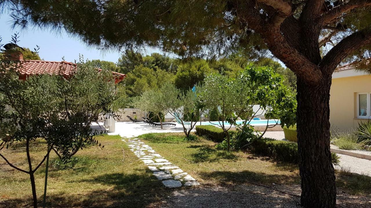 שיבניק Resort Apartment Petrovic מראה חיצוני תמונה