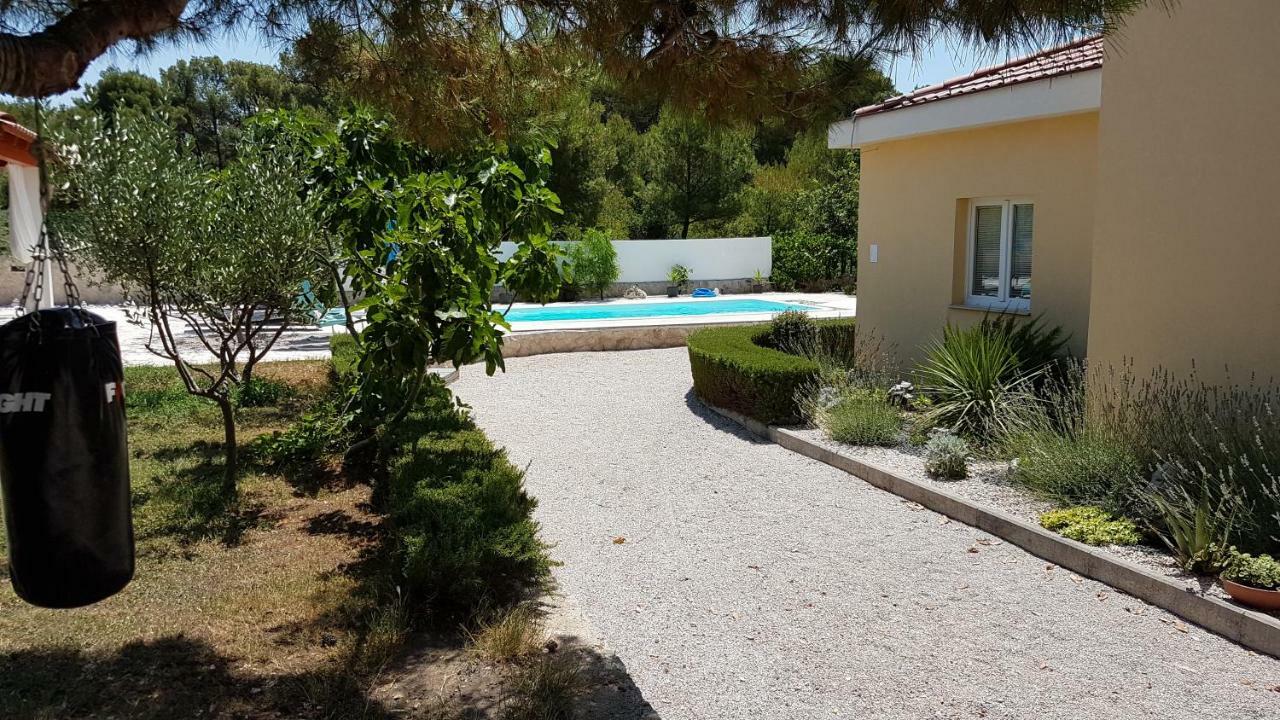 שיבניק Resort Apartment Petrovic מראה חיצוני תמונה