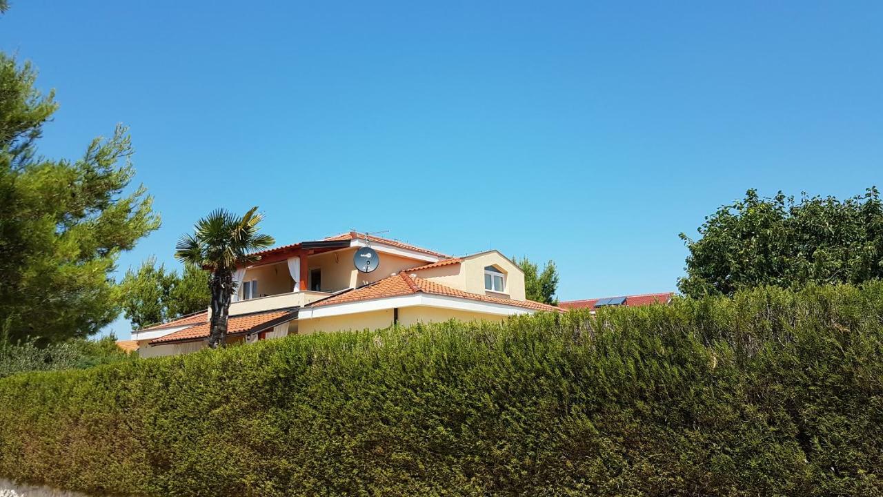שיבניק Resort Apartment Petrovic מראה חיצוני תמונה